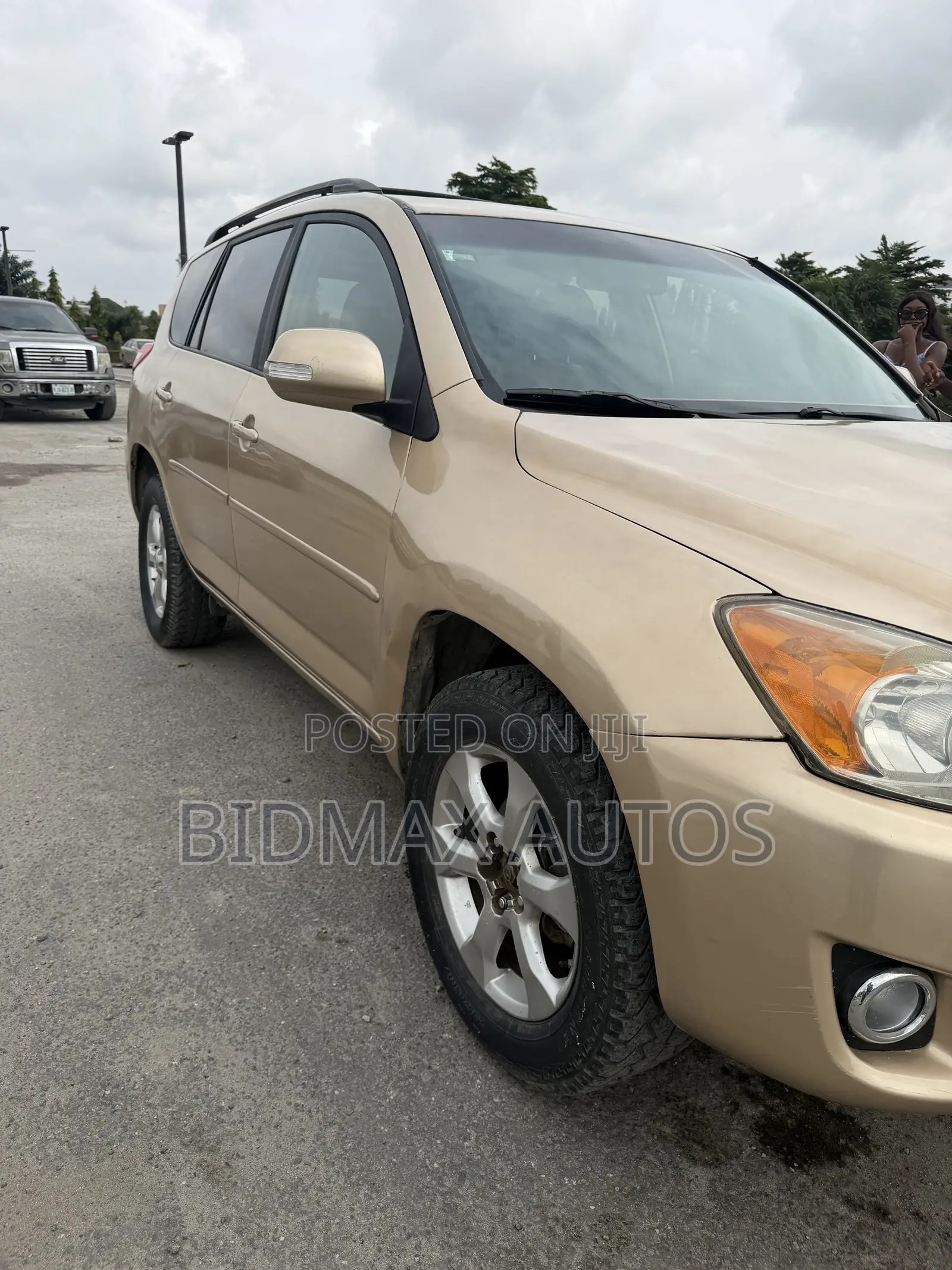 Toyota RAV4 2.5 Limited 2010 Gold