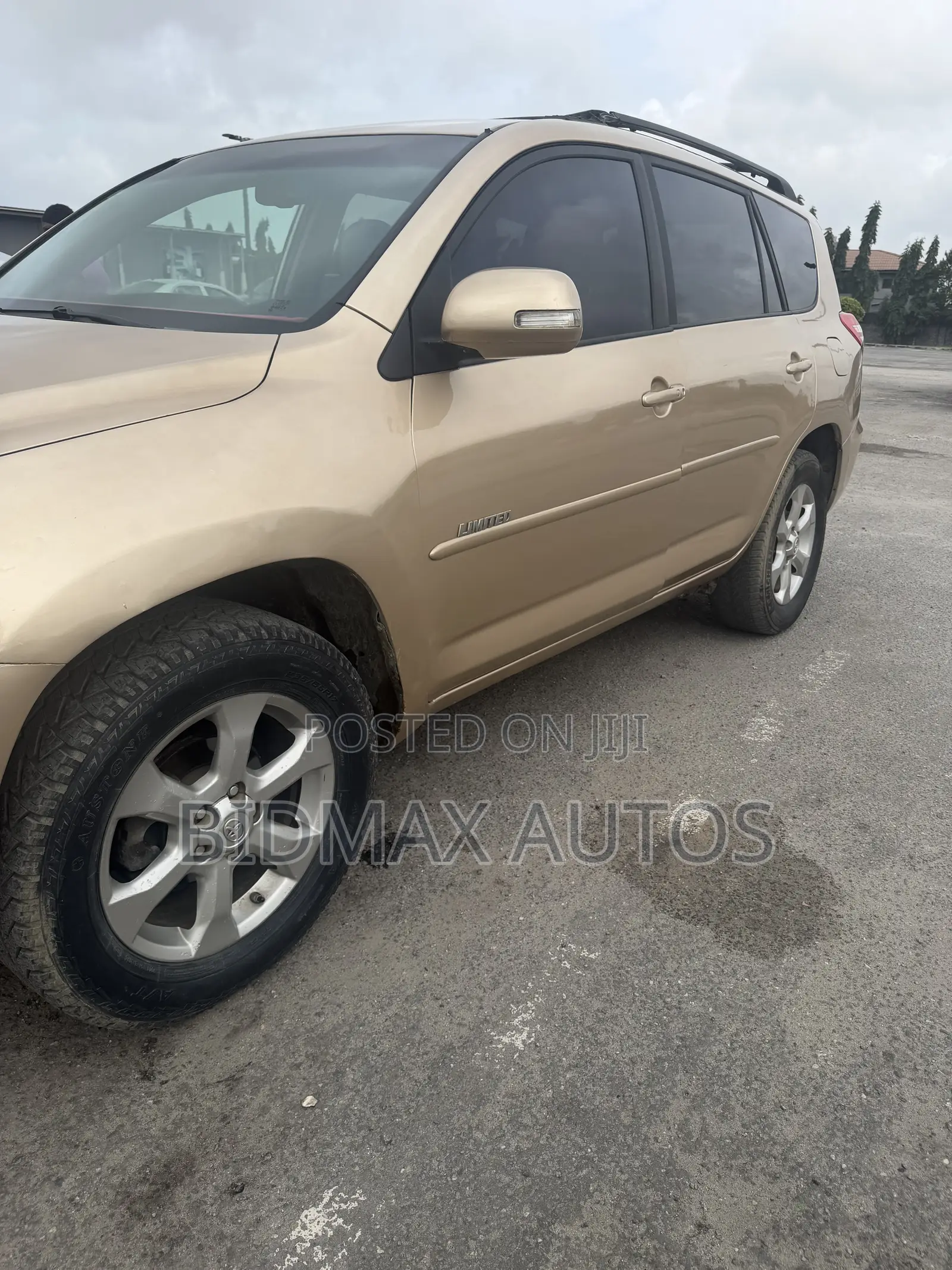 Toyota RAV4 2.5 Limited 2010 Gold