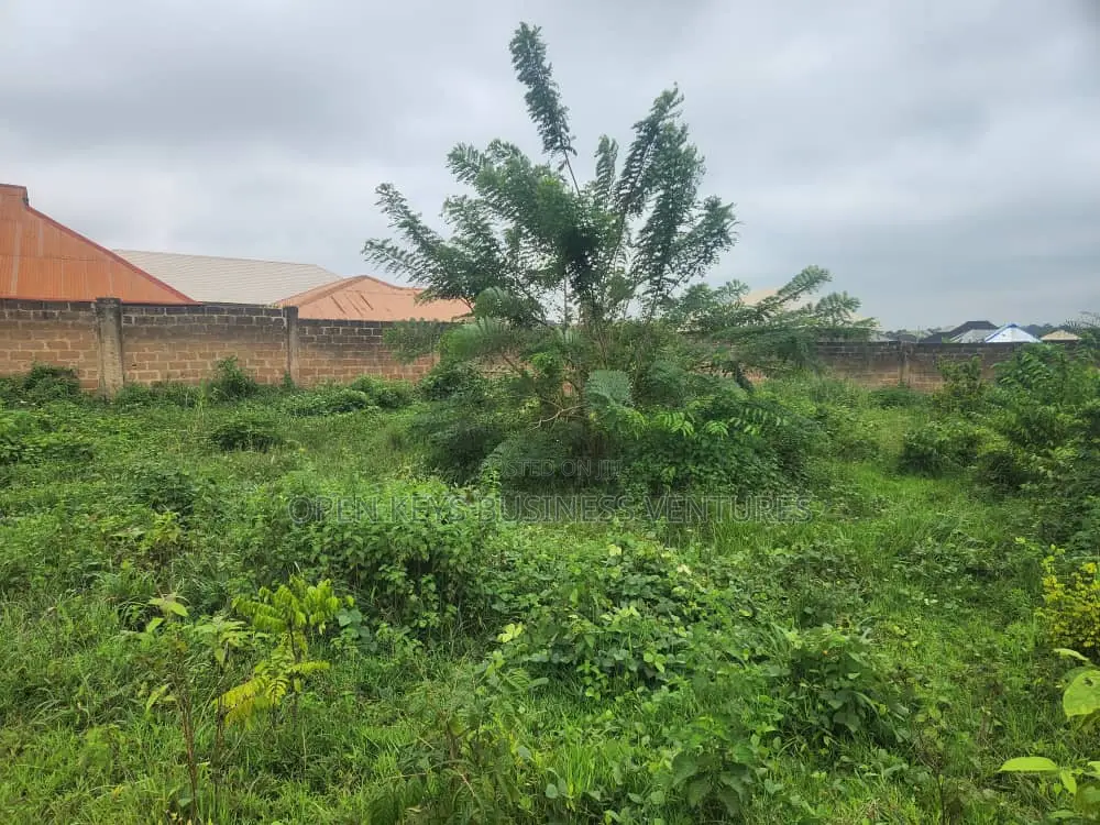 A Well Fenced Plot of Land