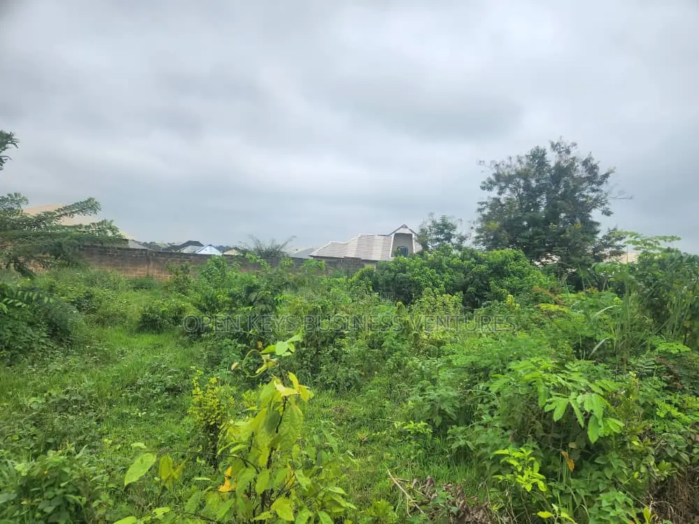A Well Fenced Plot of Land