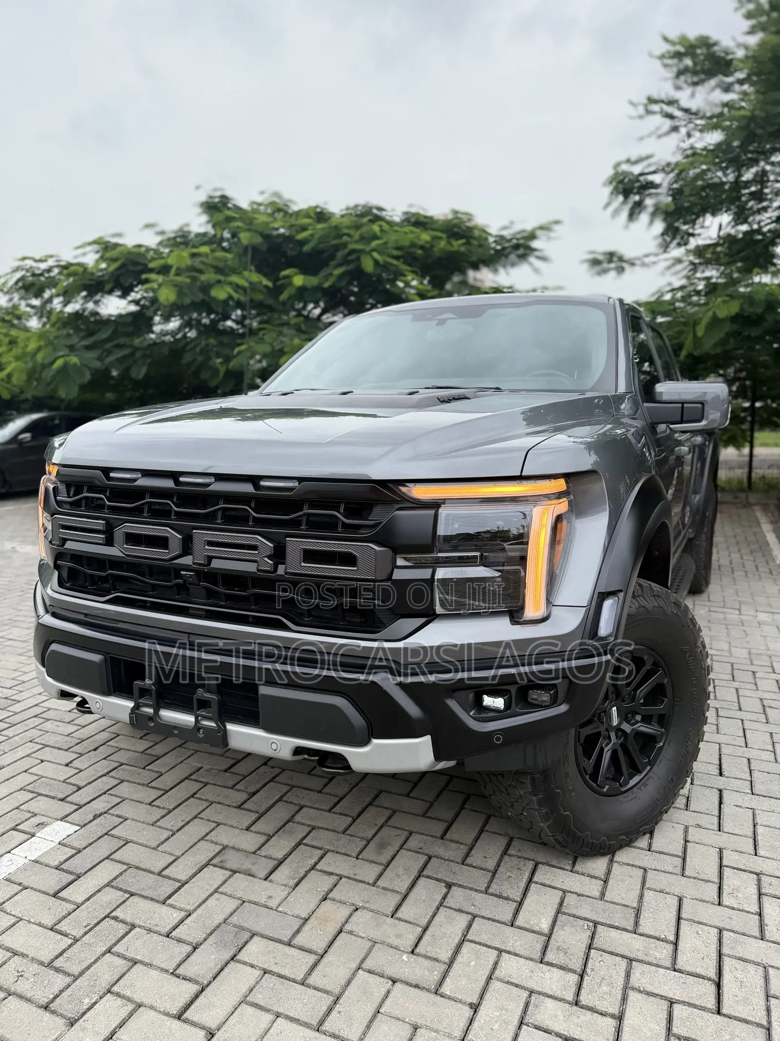 Ford F-150 Raptor 2024 Gray