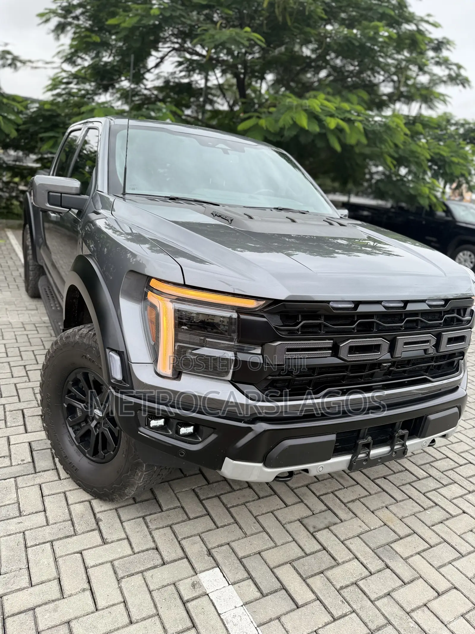 Ford F-150 Raptor 2024 Gray