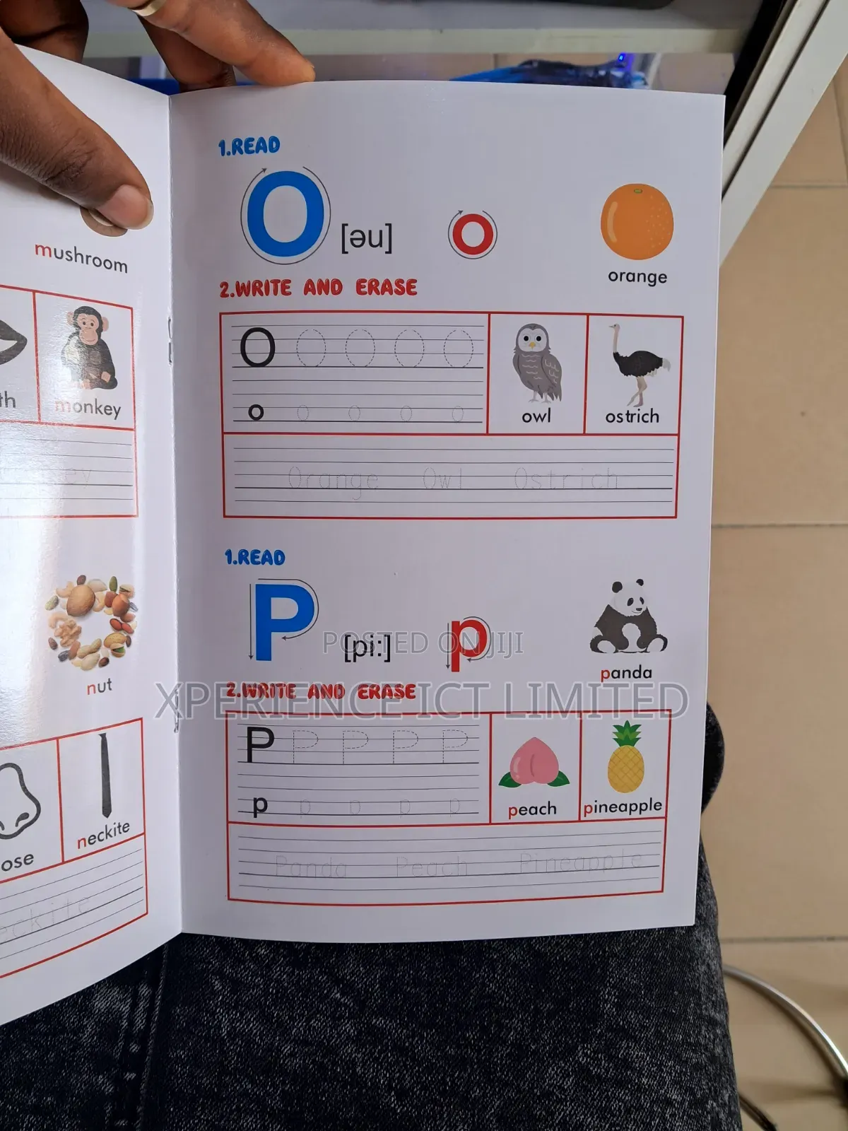 Alphabet English