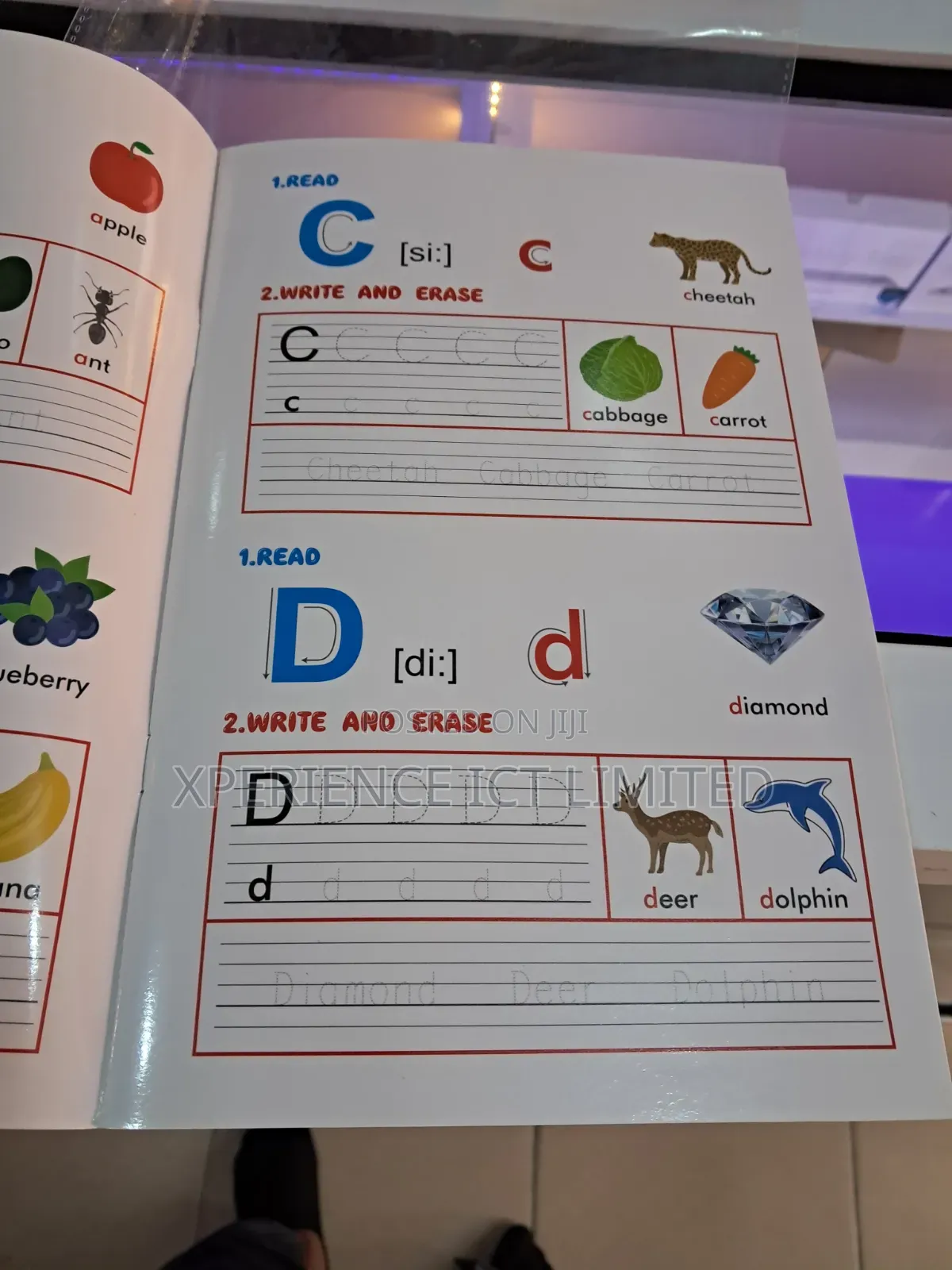 Alphabet English