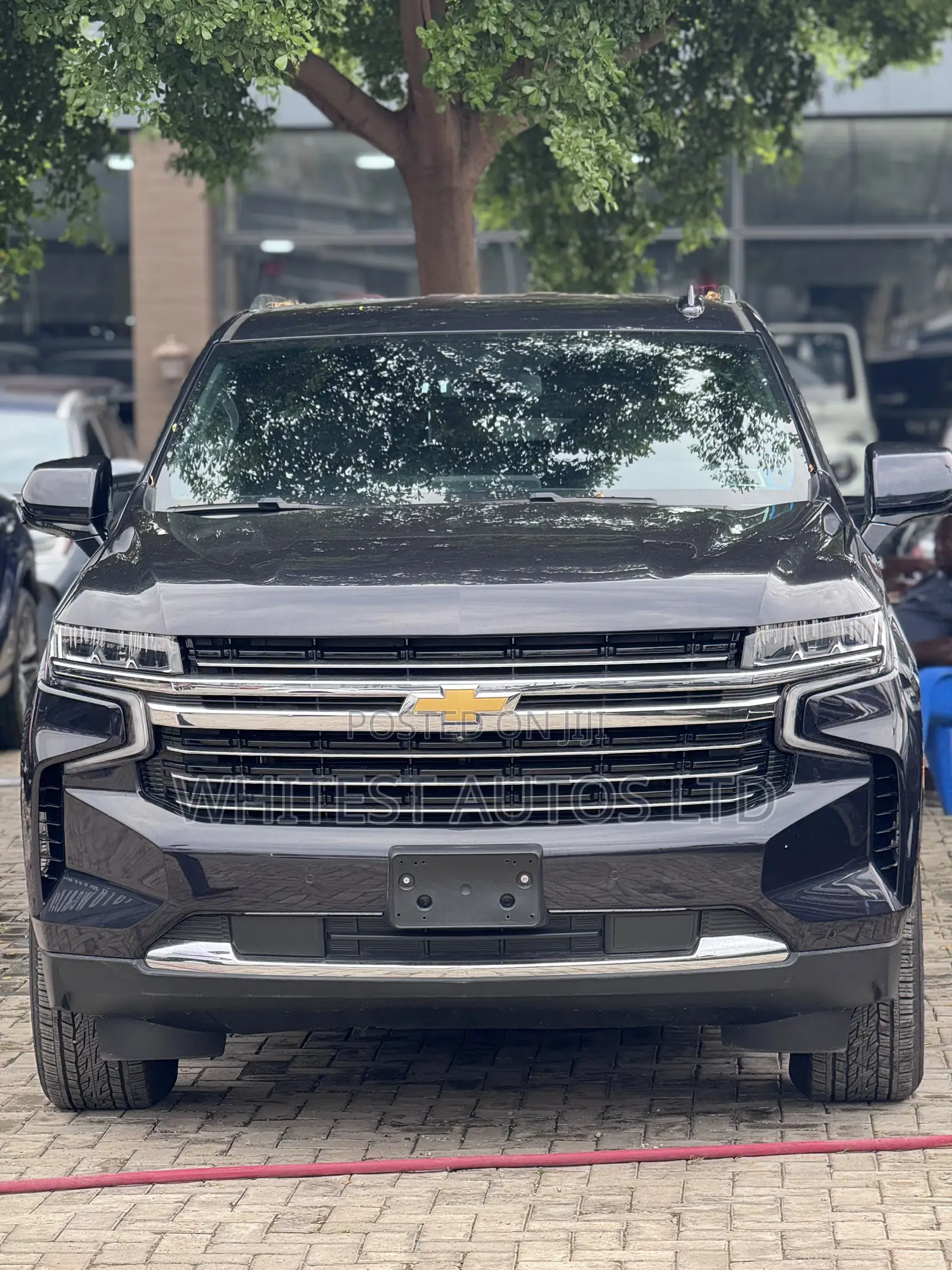Chevrolet Tahoe LT 4WD 2024 Blue