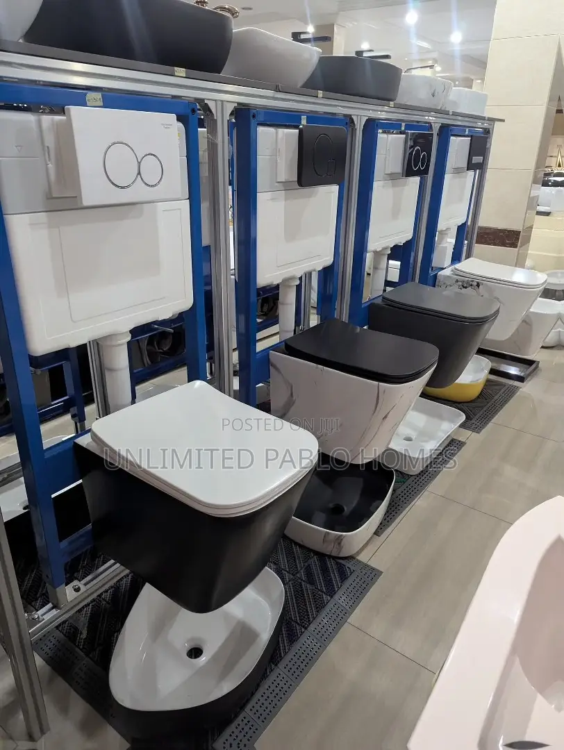 Modern Wall Hung Toilet With Concealed Cistern Frame