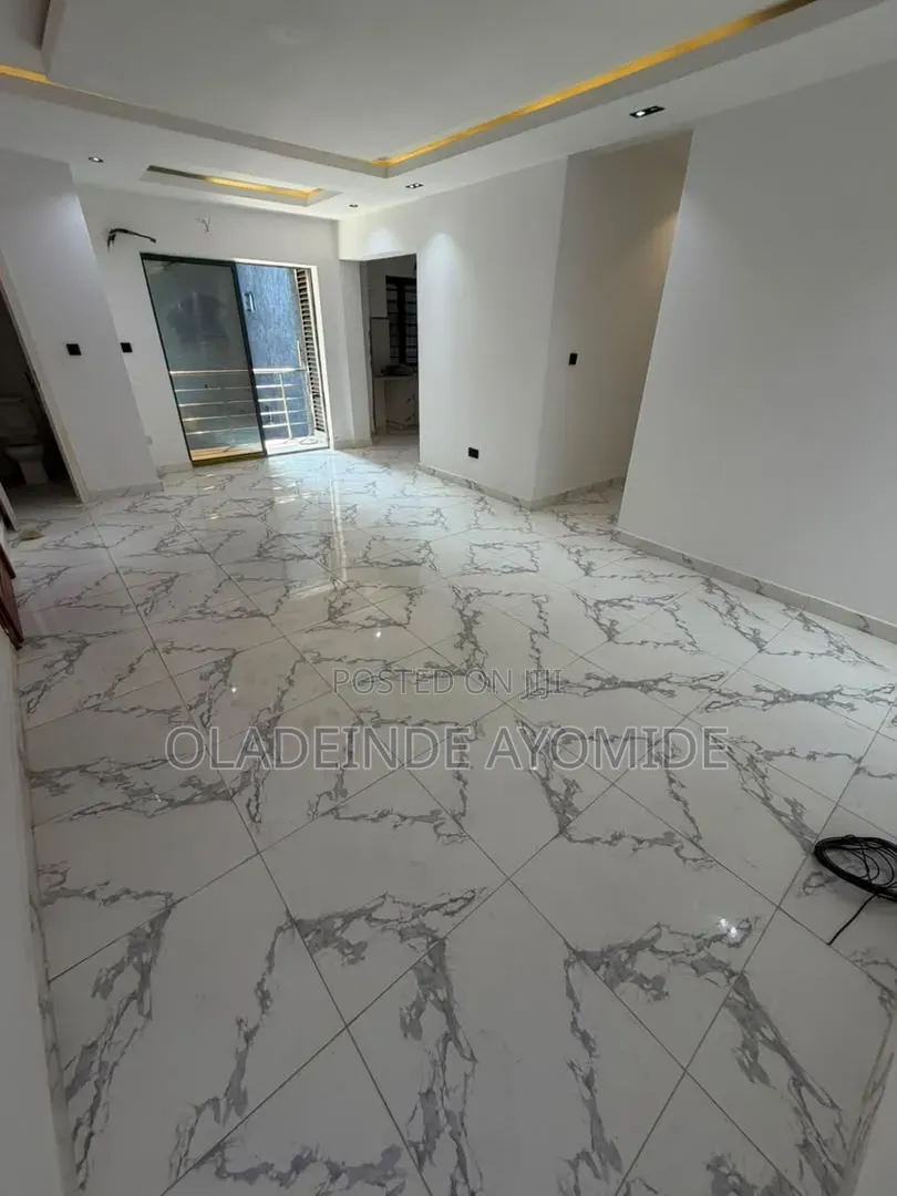 2bdrm Apartment in Ikate Lekki for rent