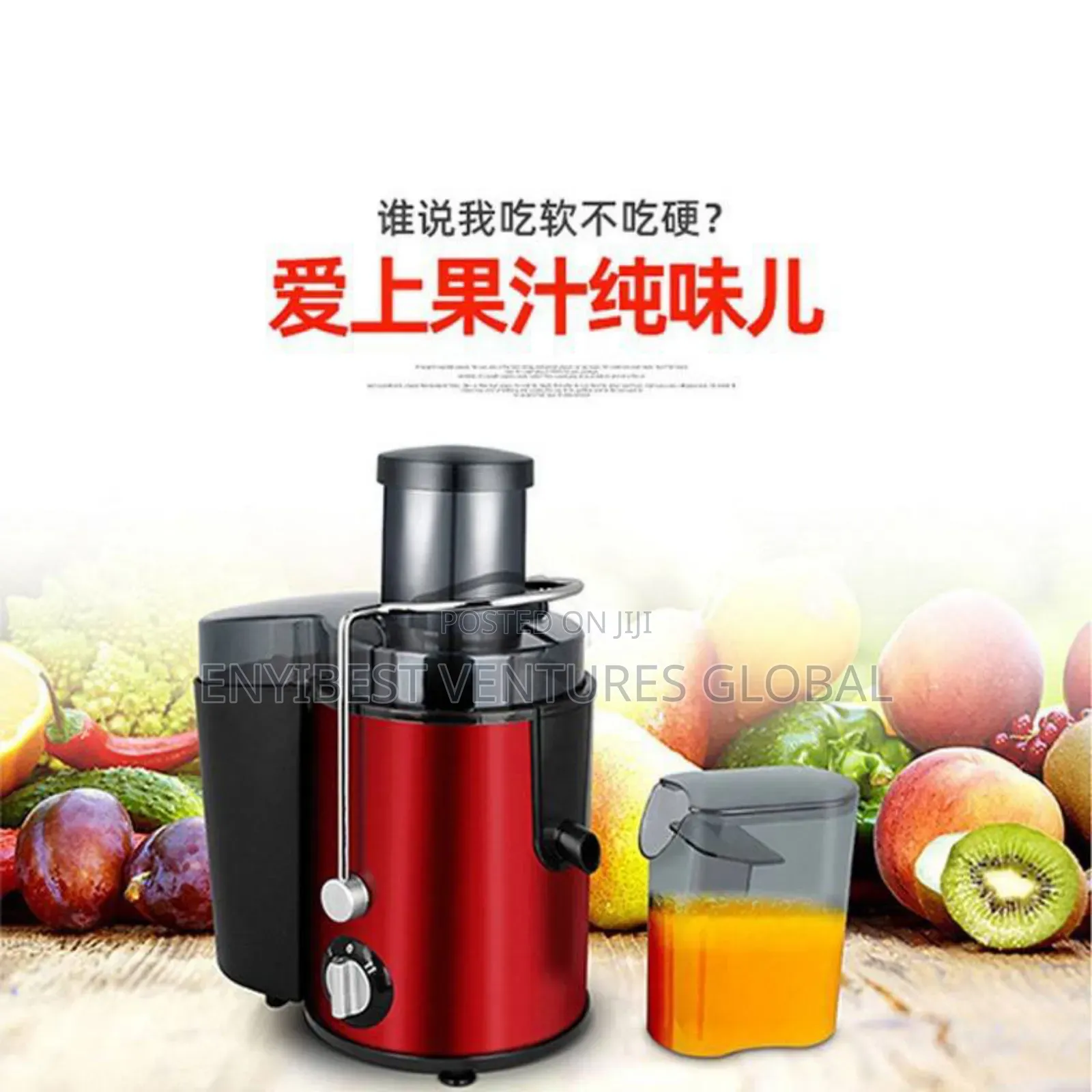 Silver Love Stainless Steel Juice Extractor