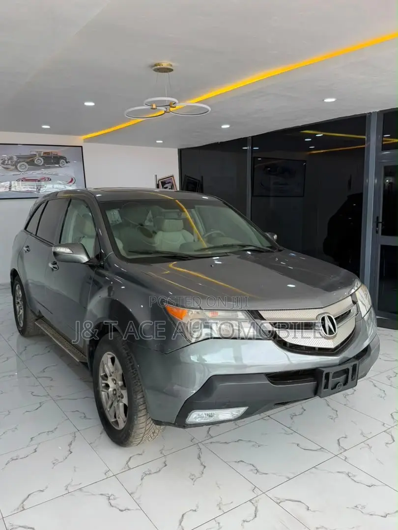 Acura MDX 2008 Gray
