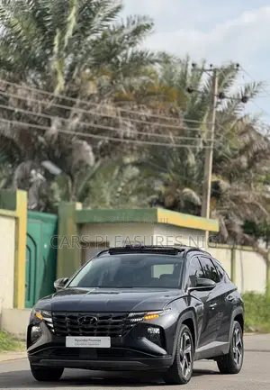 Hyundai Tucson 2024 Gray