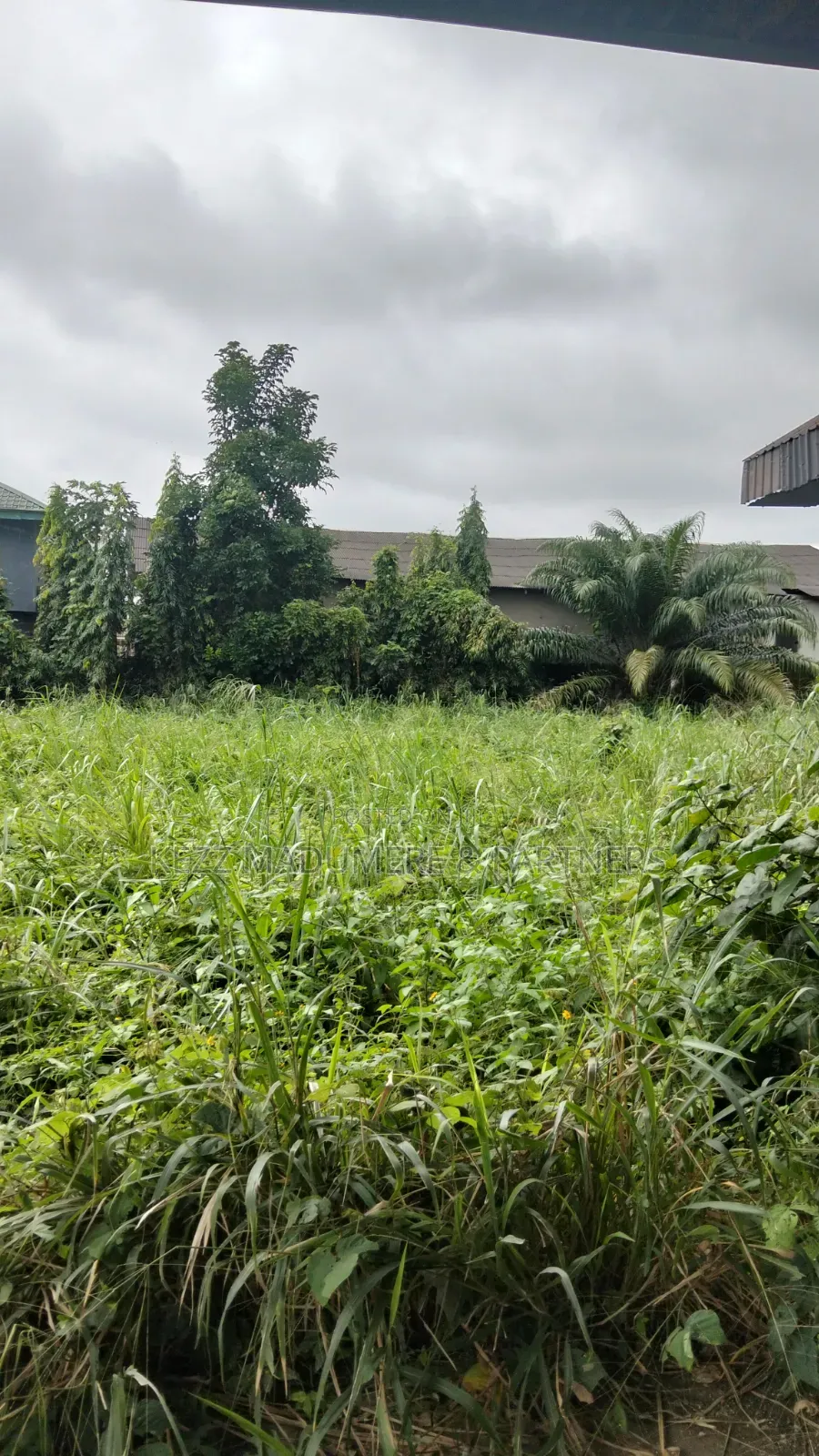 For Sale : 35 Plots Near New Road Eliozu Roundabout, Ph