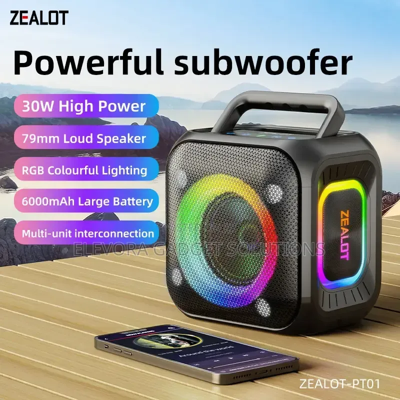 ZEALOT PT01 Powerful Subwoofer - 30W High Power