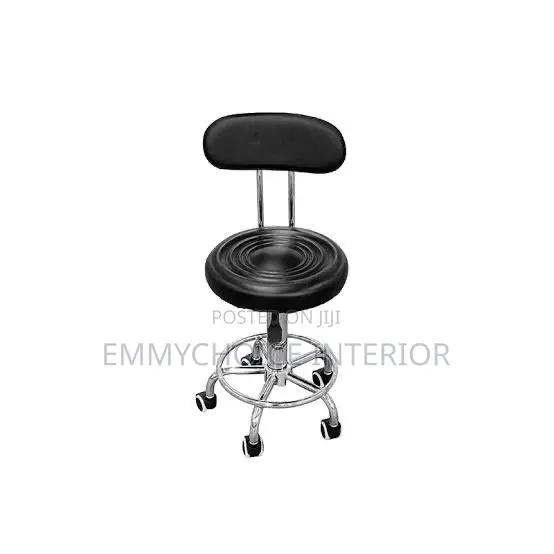 Mini Swivel Lab/Bar Chair With Backrest).
