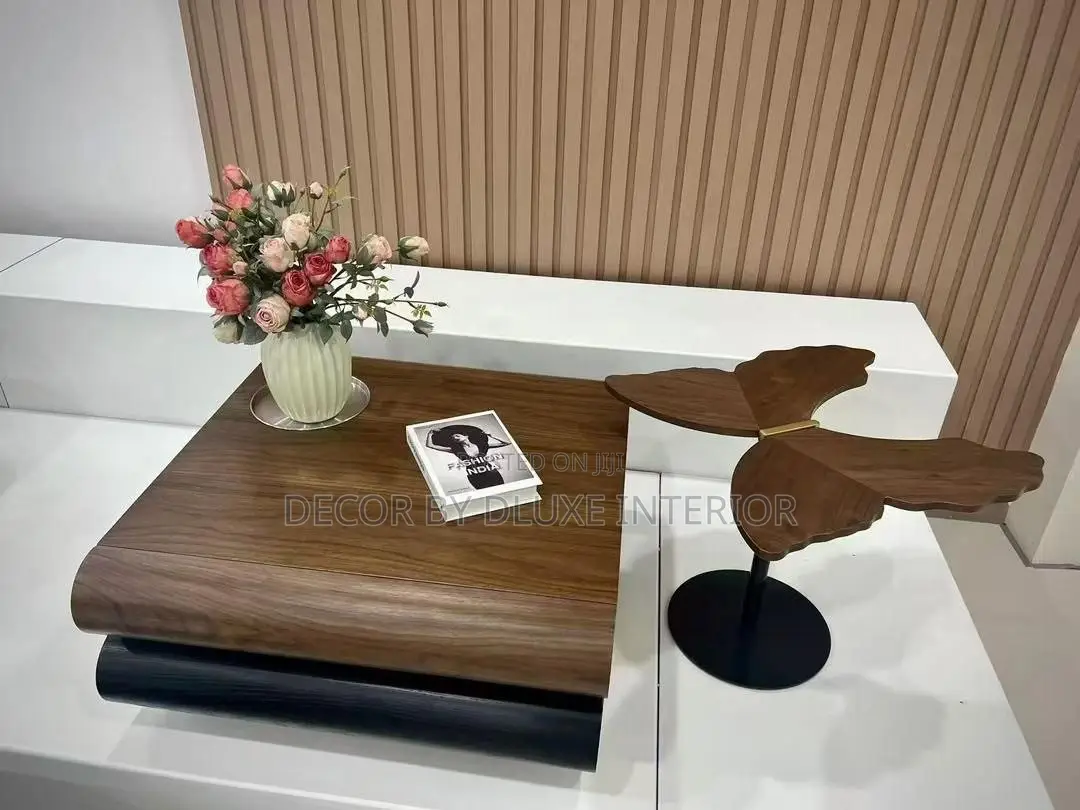 Modern Square Center Table With Butterfly Side Table Coffee Table Set