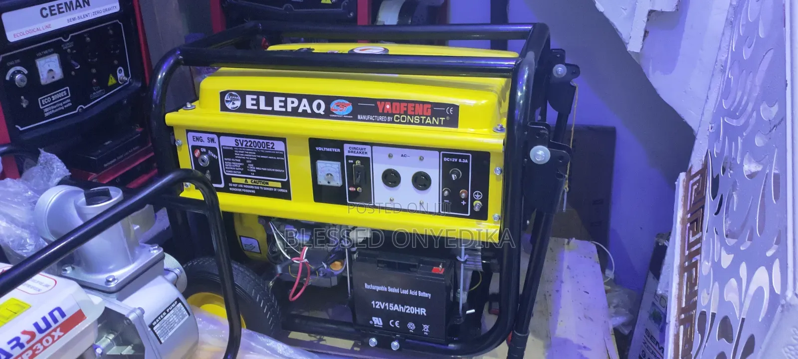 Elepaq Sv 22000e2 12kva