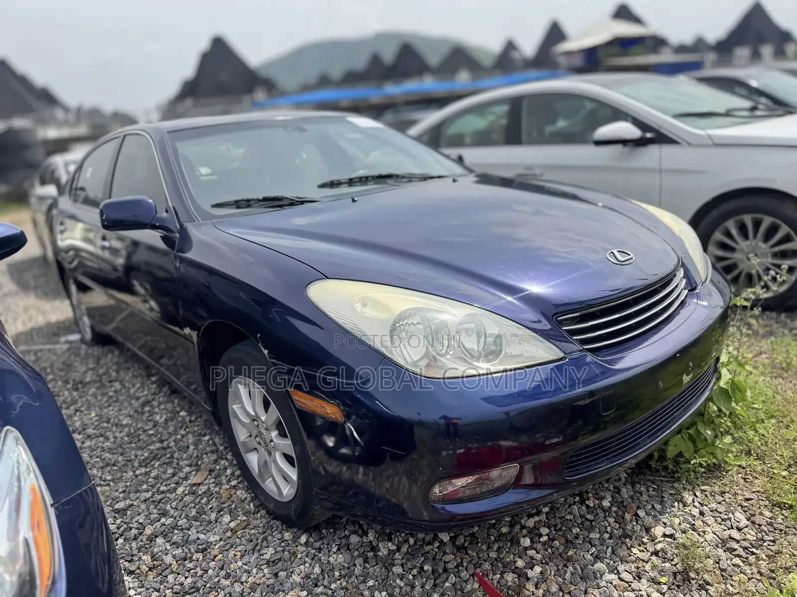 Lexus ES 330 Sedan 2004 Blue