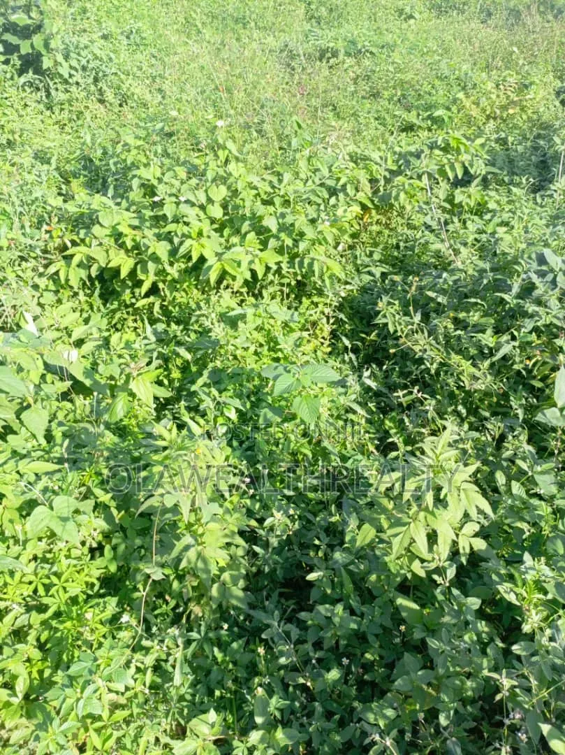 458sqm Residential Land at Tiger Mini Estate Phase 1, Ojoo