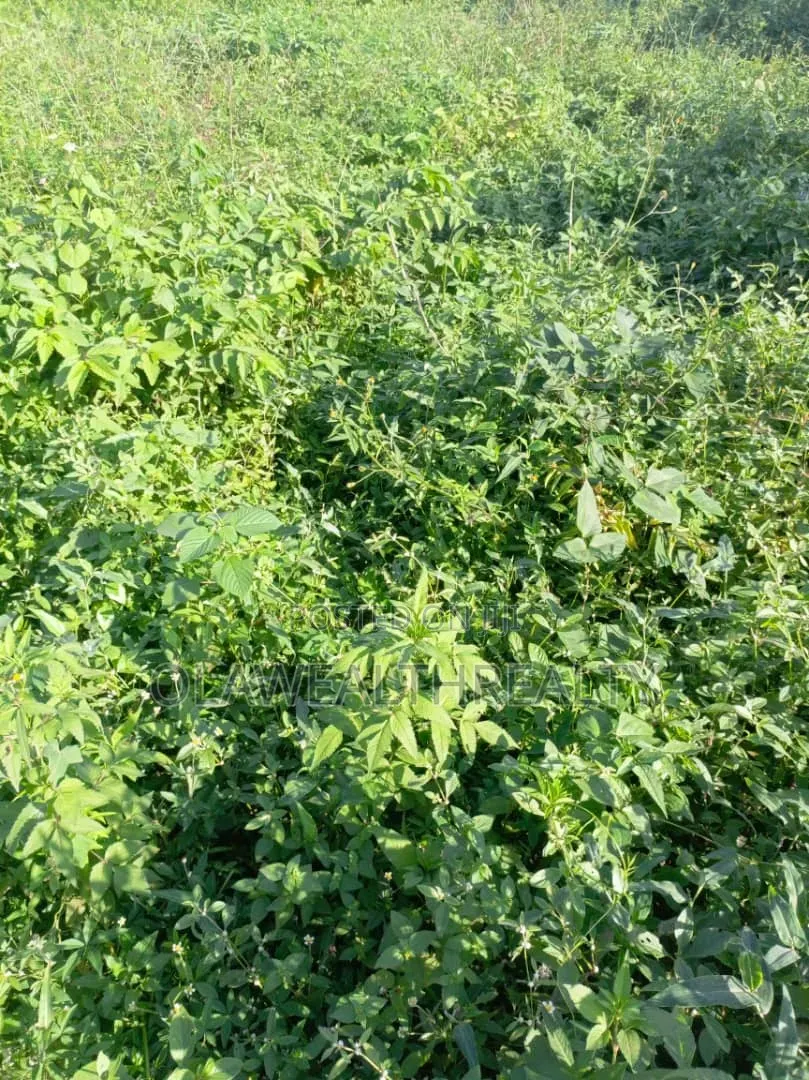 458sqm Residential Land at Tiger Mini Estate Phase 1, Ojoo