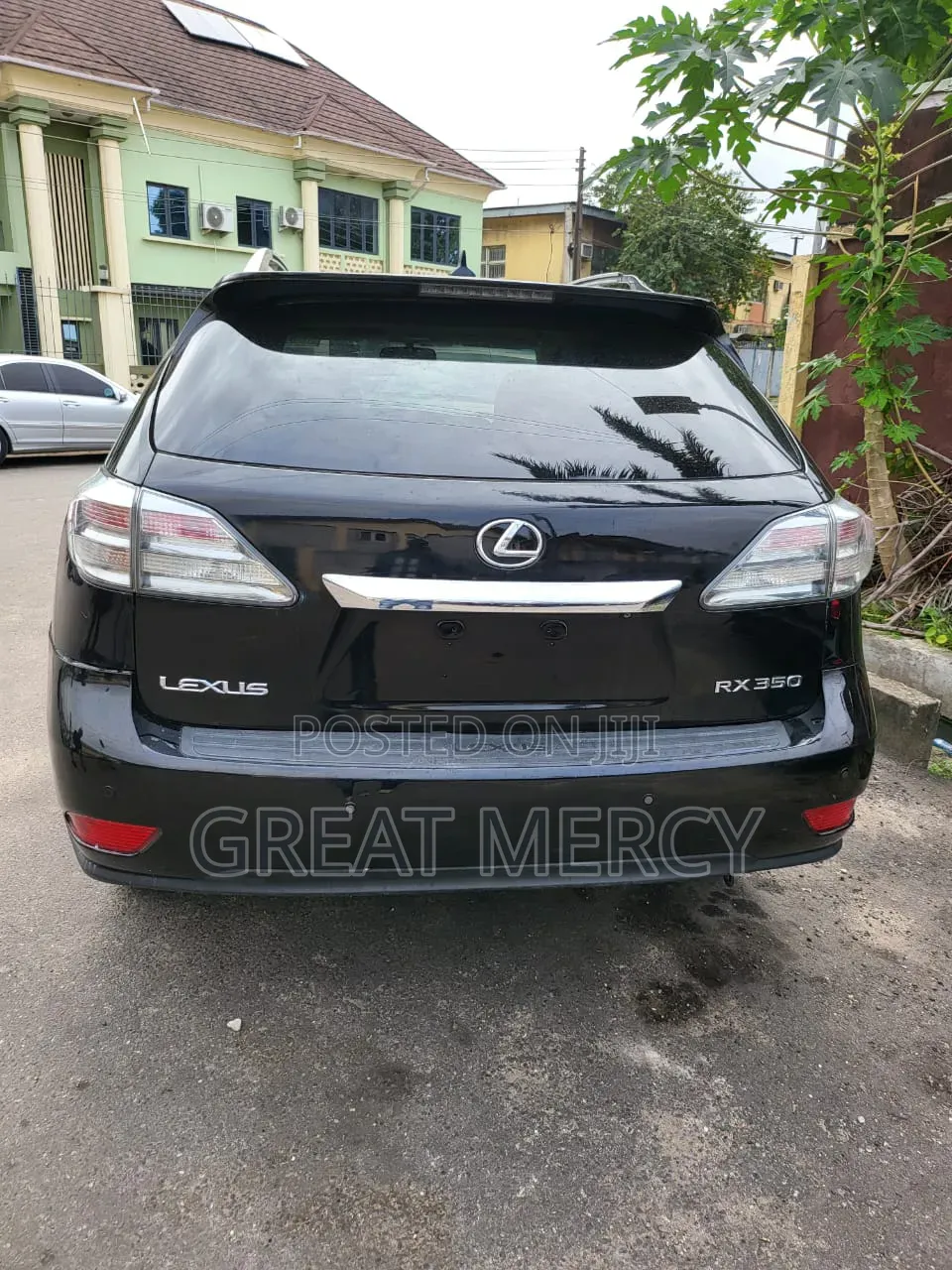 Lexus RX 2010 Blue