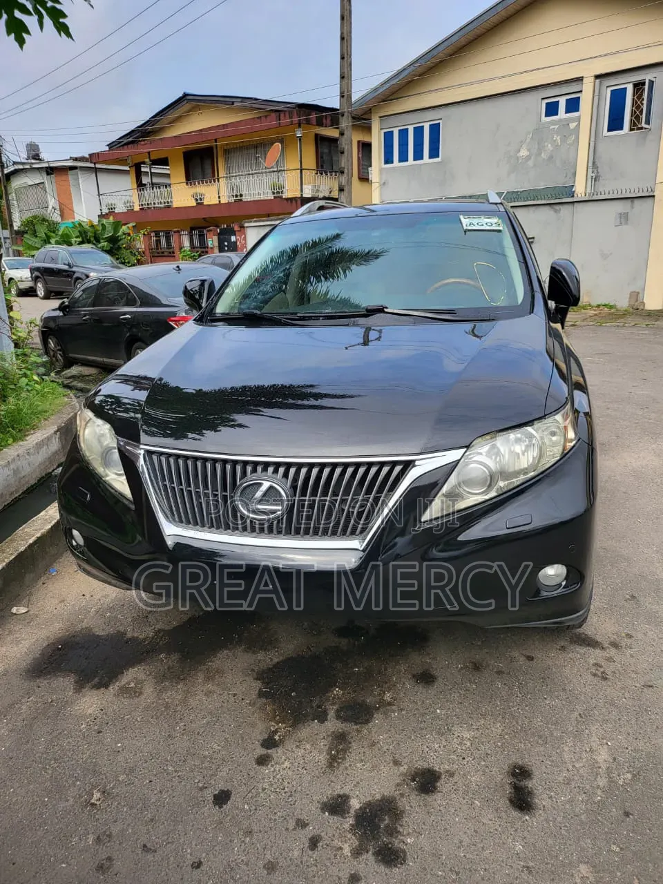 Lexus RX 2010 Blue