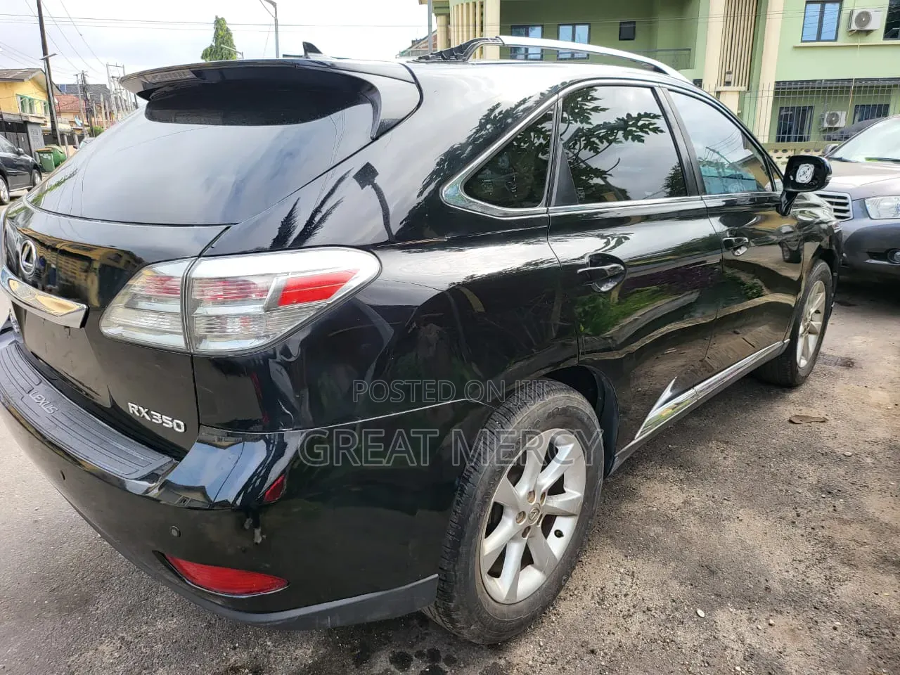 Lexus RX 2010 Blue