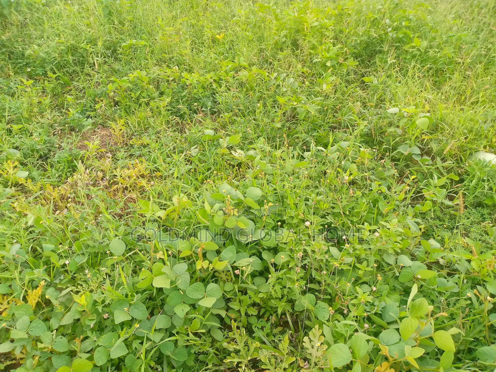 450sqm. Residential Land for Sale in Kubwa. Abuja - Nigeria