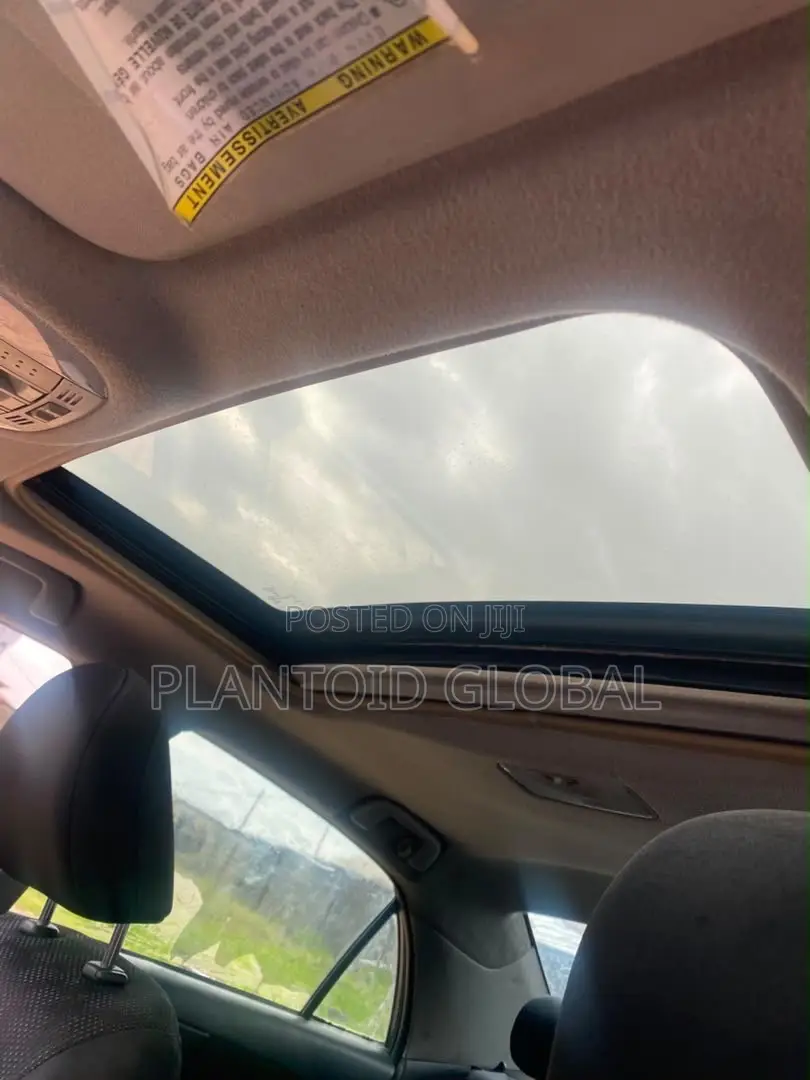 Toyota Corolla 2009 Gray
