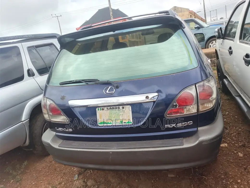 Lexus RX 2003 Blue