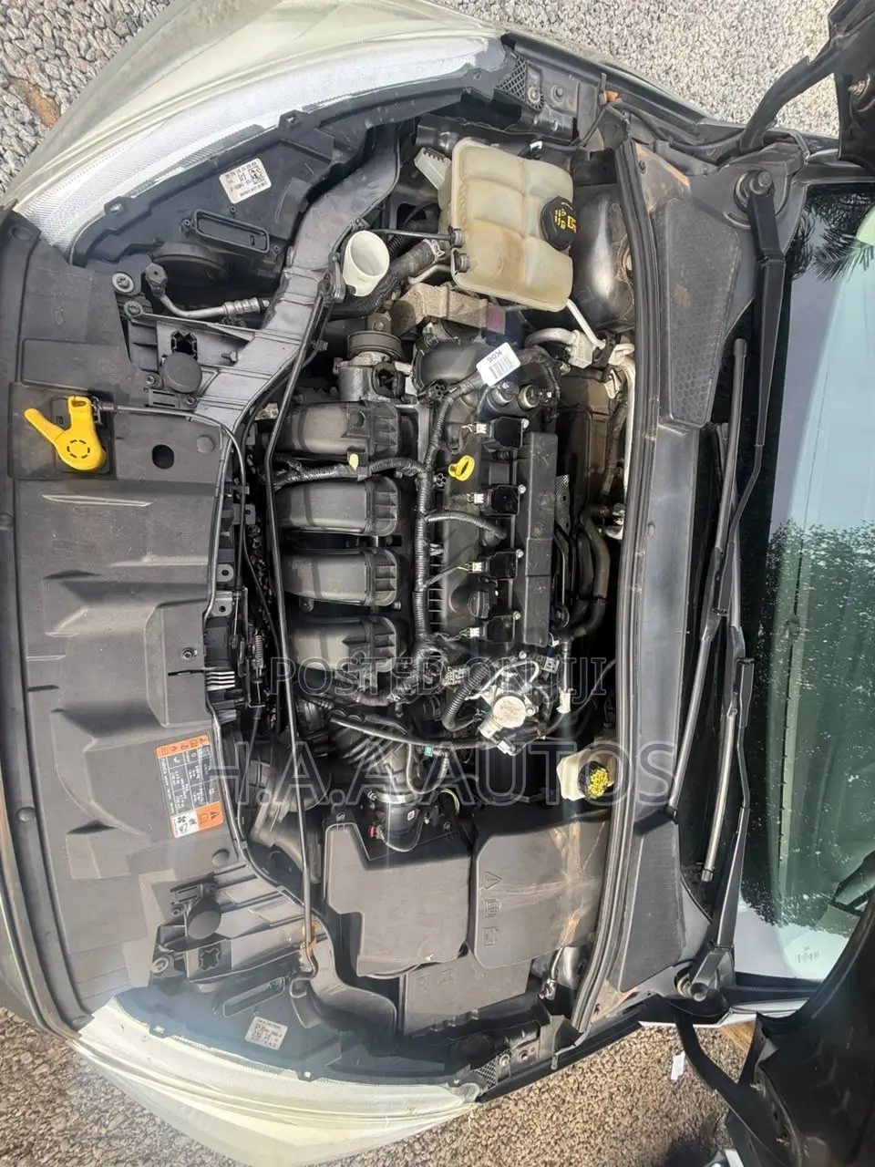 Ford Focus SE Hatchback FWD (2.0L 4cyl 6A) 2017 Gray