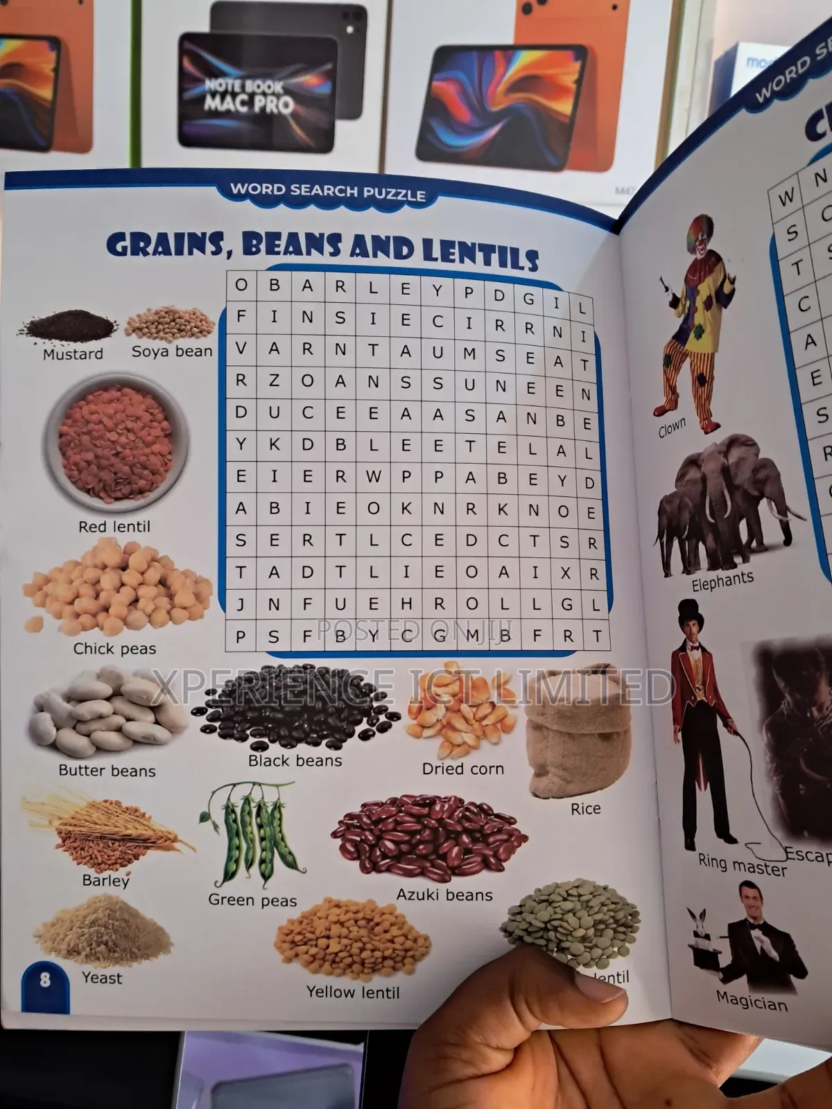 Pictorial Word Search Puzzle