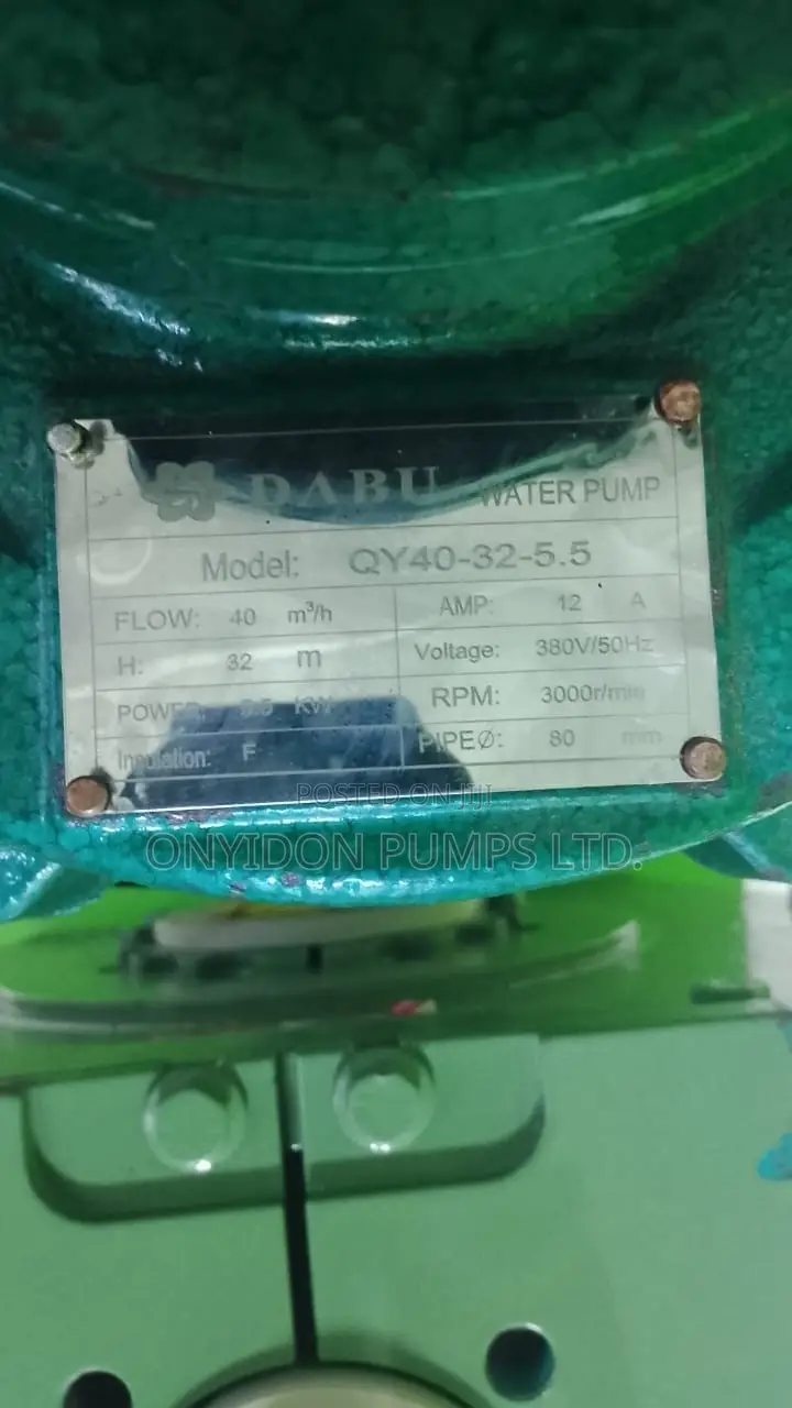 Dabu Sewage Pump