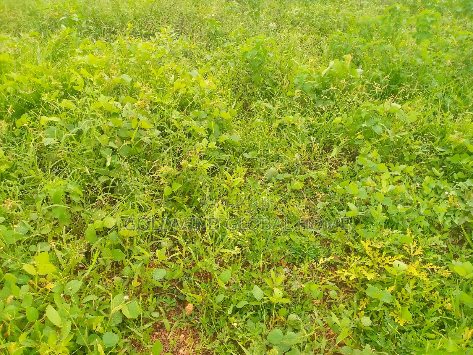 600sqm. Residential Land for Sale in Kubwa Fo1. Abuja - Nigeria