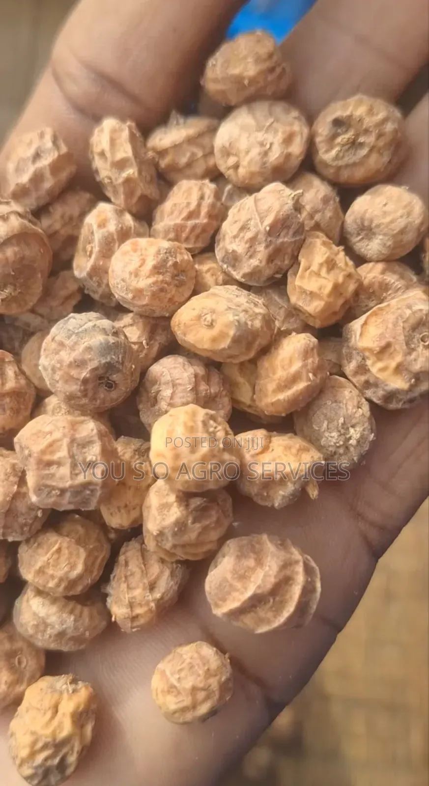 Clean and Sweet Tiger Nuts (Aya) From Niger
