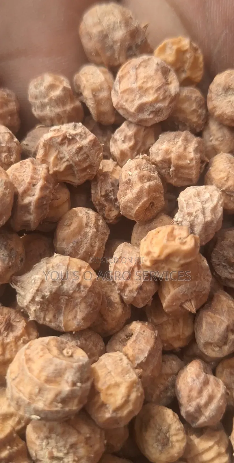 Clean and Sweet Tiger Nuts (Aya) From Niger