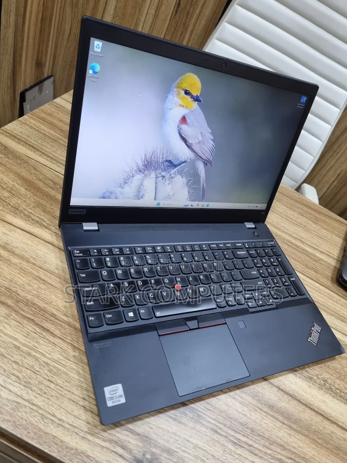 Laptop Lenovo ThinkPad T15 Gen1 8GB Intel Core i5 SSD 256GB