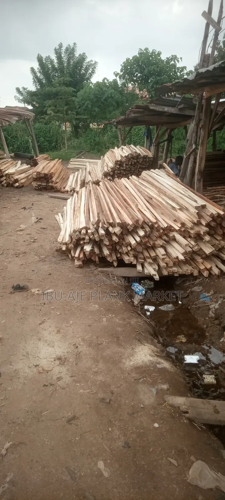 Timbers for Roofing