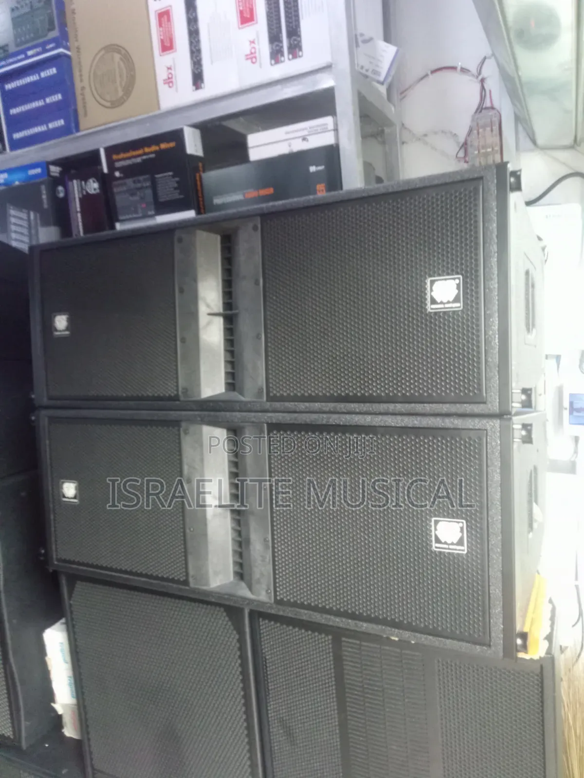 Steck Audio 12 Inchese Line and Array Speaker's