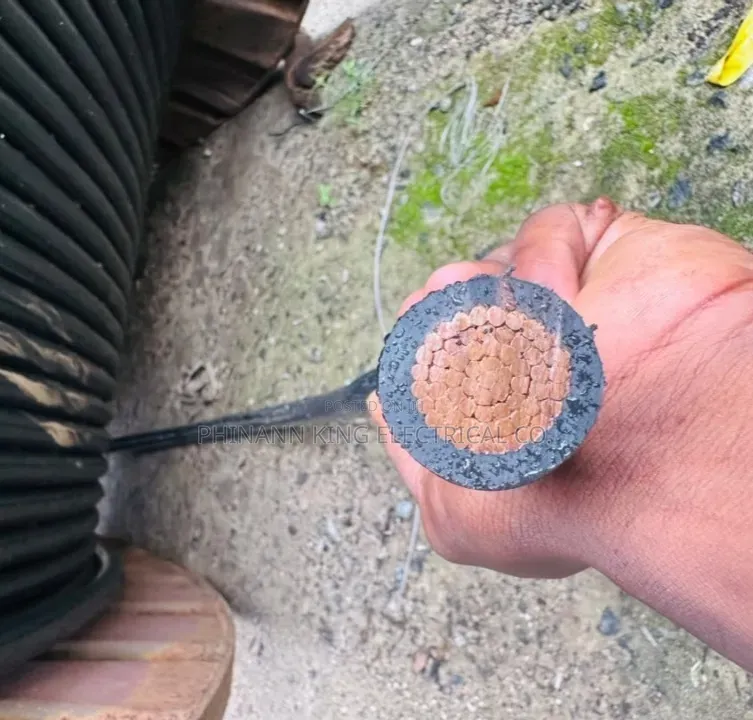 300mm Single Core Full Gauge Pure Copper