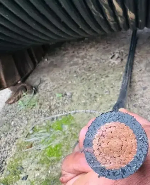 500mm Armored Cable Pure Copper