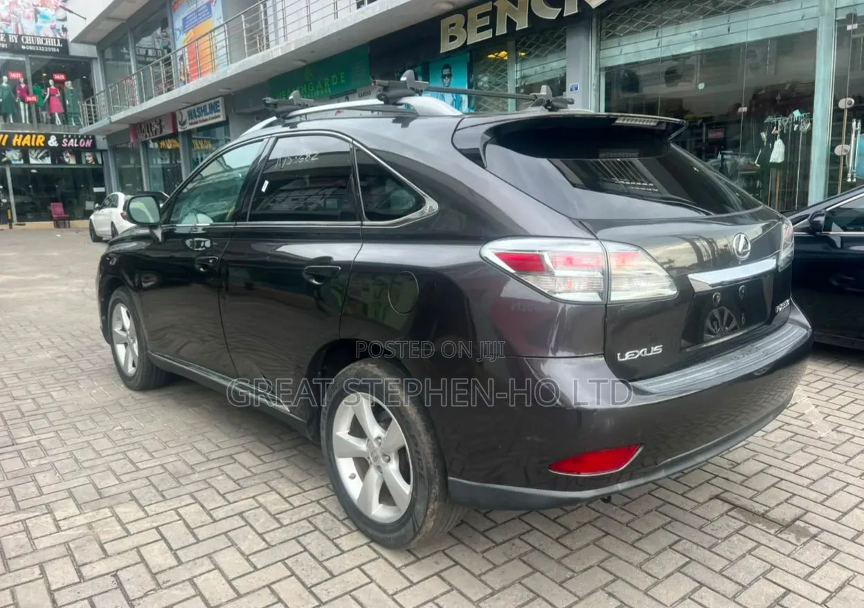 Lexus RX 2010 Black