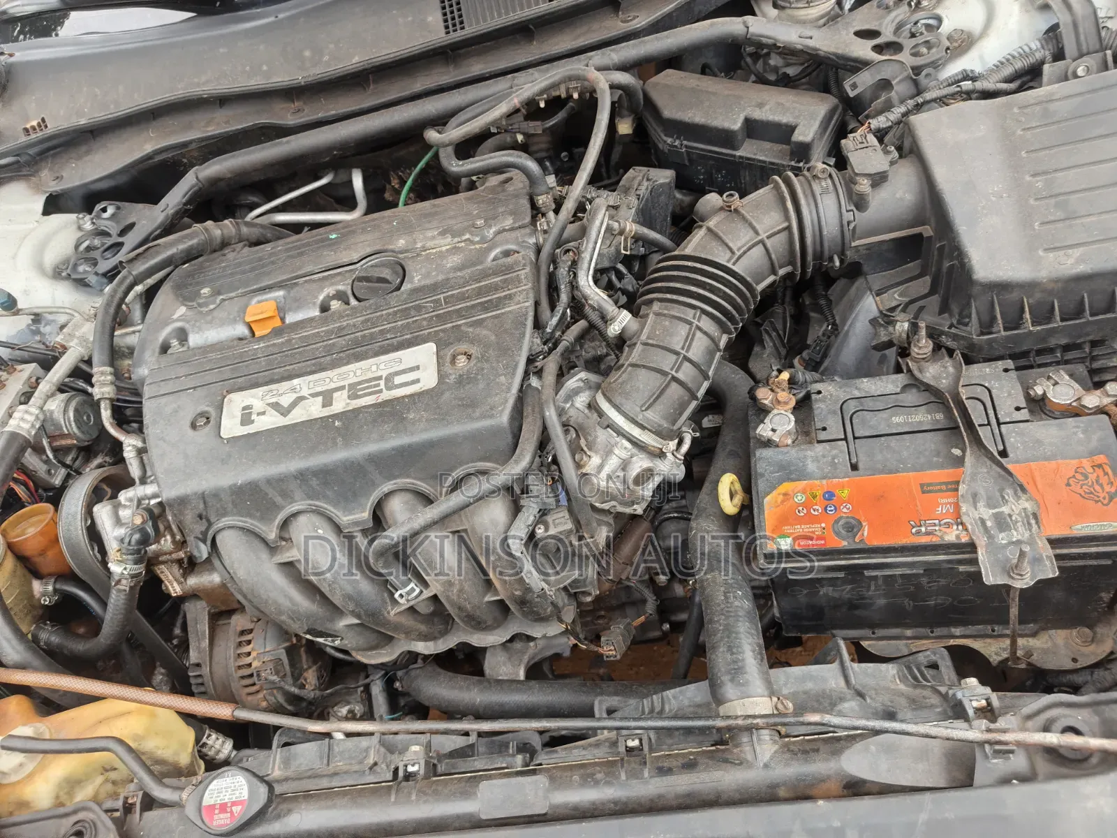 Honda Accord 2008 White