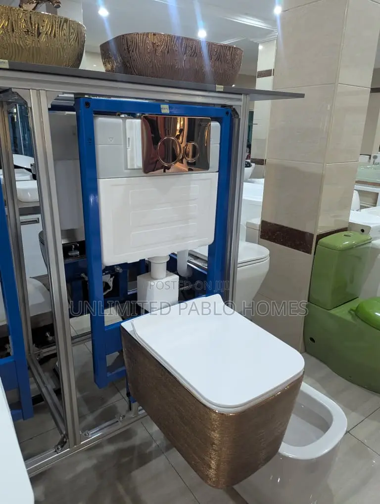 Wall Hung Luxury Toilet With Concealed Cistern