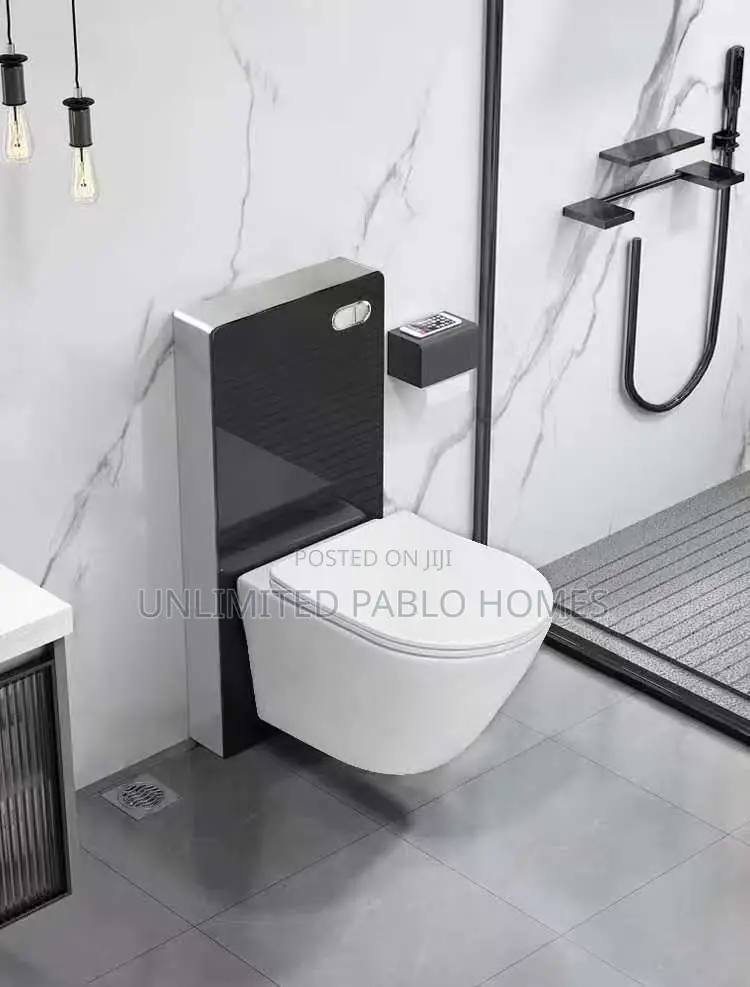 Modern Concealed Tank Wall Toilet