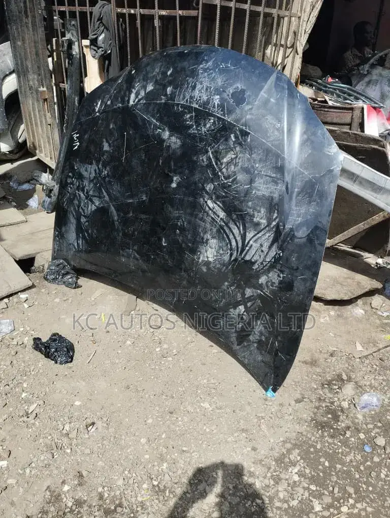 Bonnet Lexus Es350 2015/2018 and Back Door Camry 2018