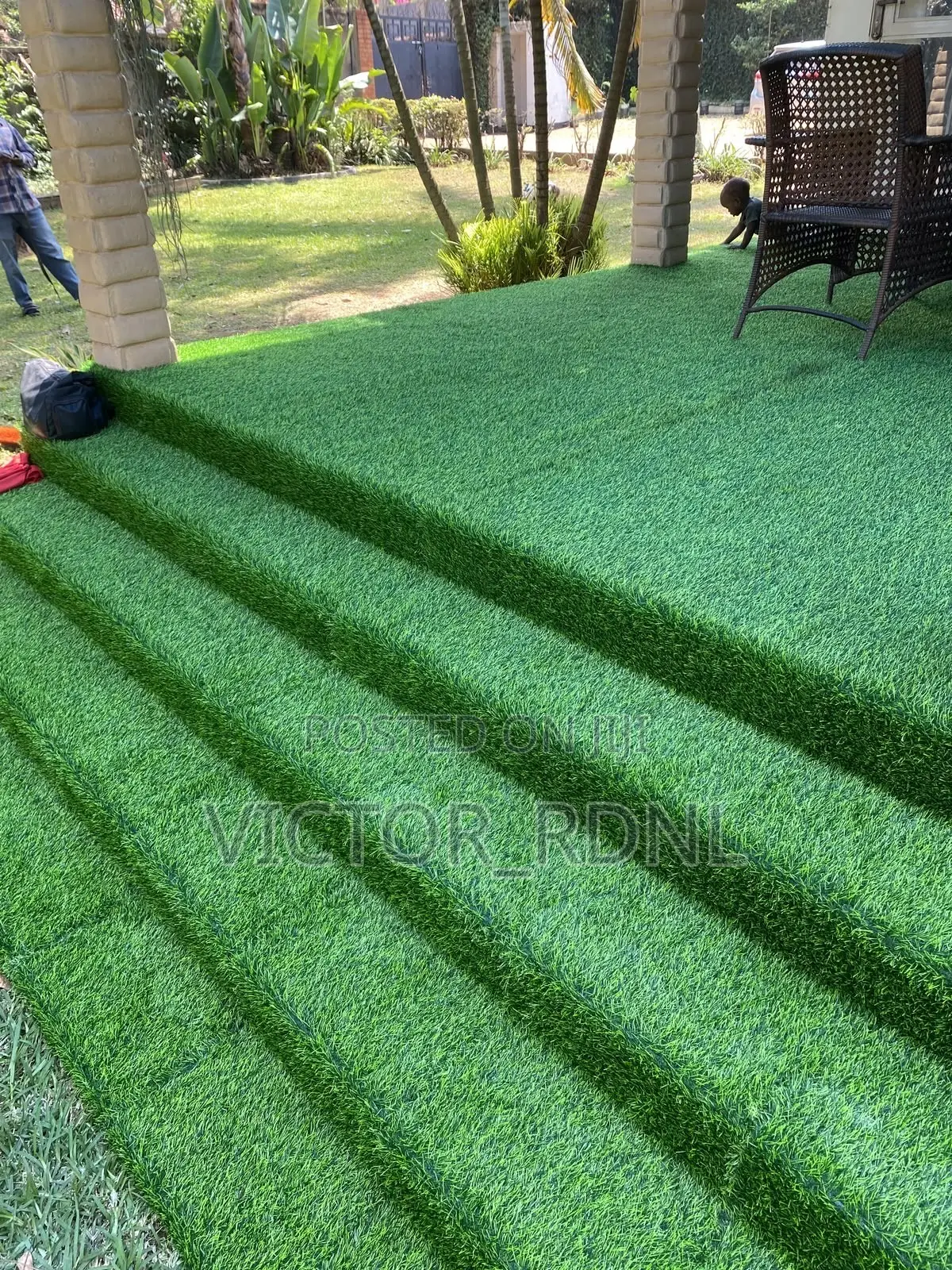 Standard Carpet Grass With Delivery