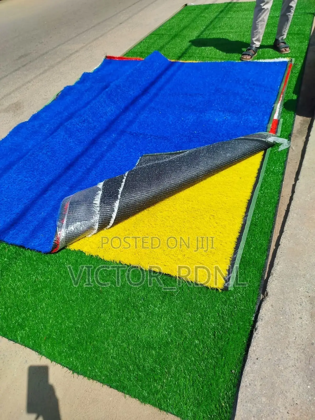 Maximum Standard Carpet Grass