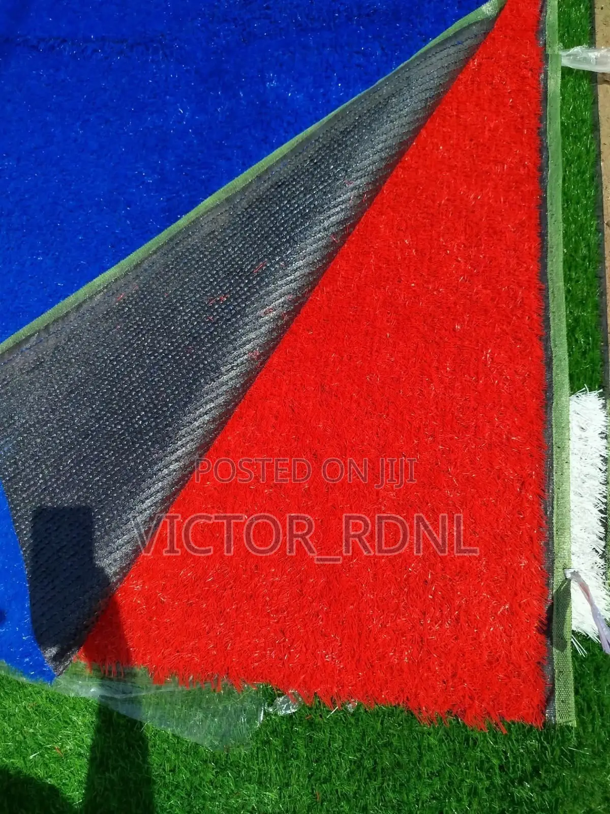 Maximum Standard Carpet Grass
