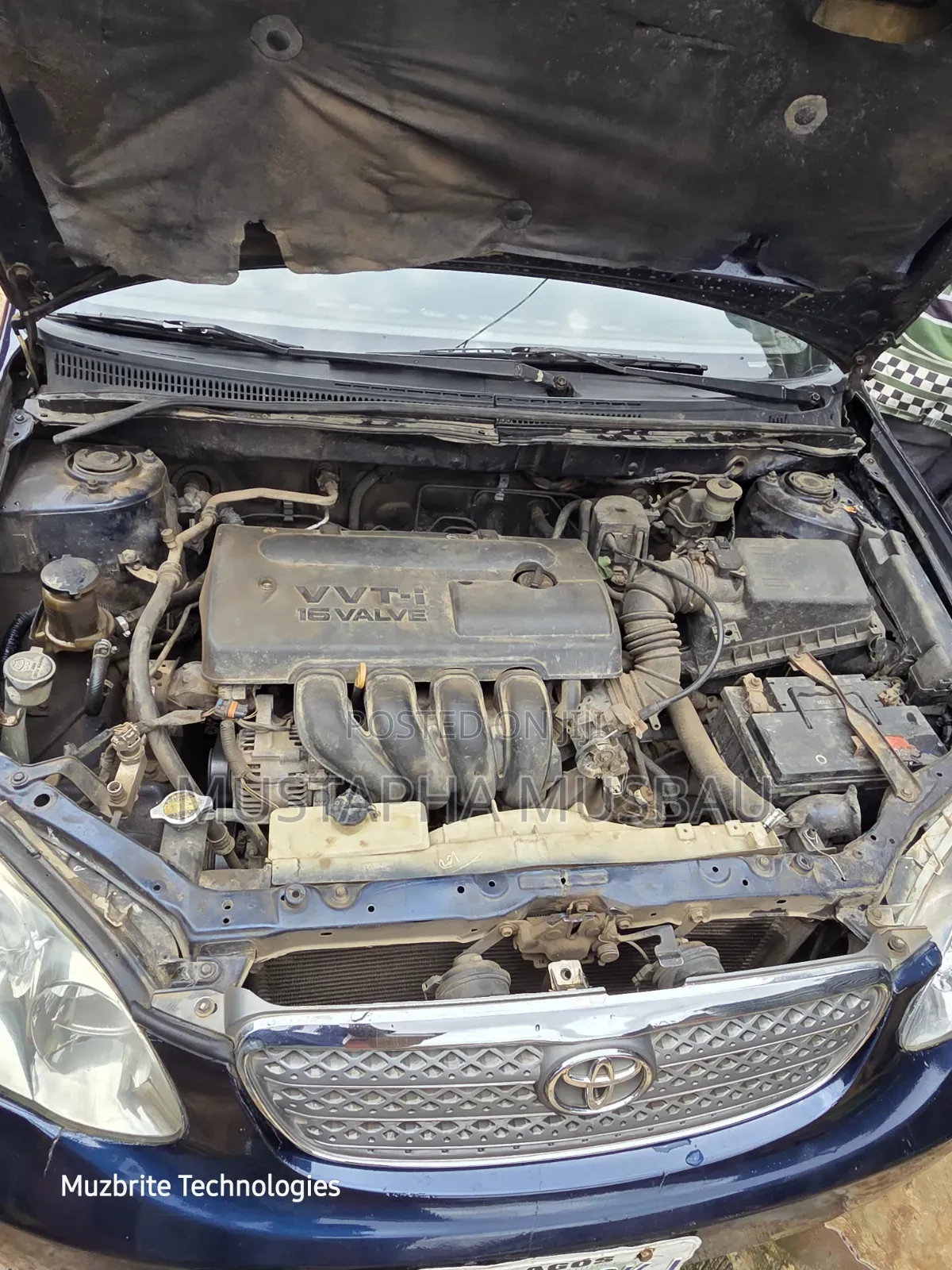 Toyota Corolla 2003 Blue