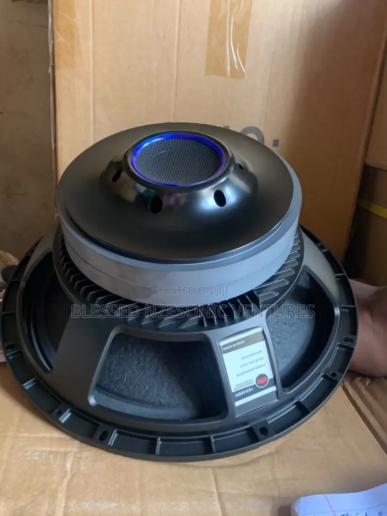 Double 15 Inches Naked Speaker
