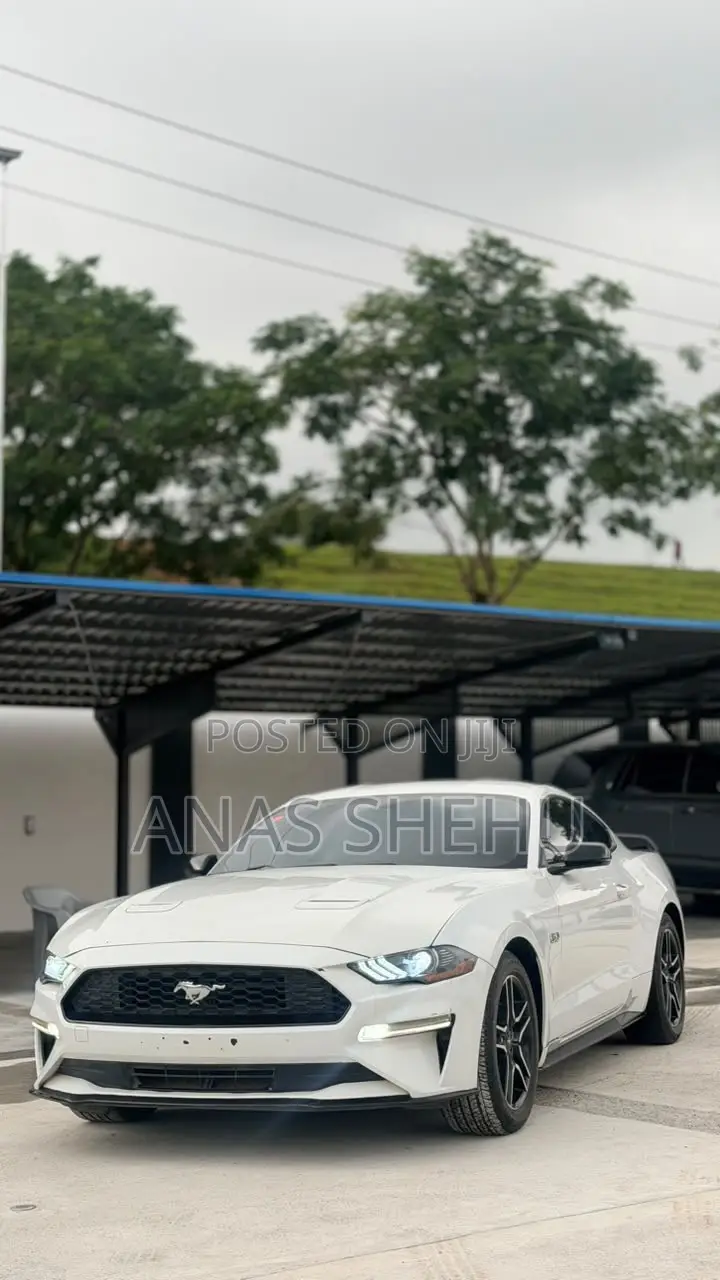 Ford Mustang GT Fastback 2019 White